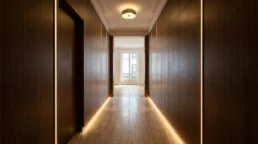 seuil entrée appartement zanutta